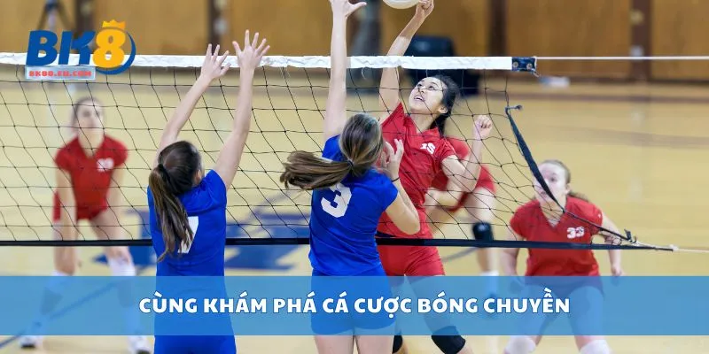 Cùng khám phá cá cược bóng chuyền