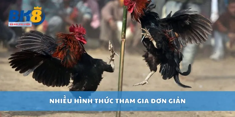Nhiều hình thức tham gia đơn giản