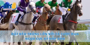 Đặt Kèo Trúng Lớn Với Cá Cược Đua Ngựa Cực Kỳ Hấp Dẫn