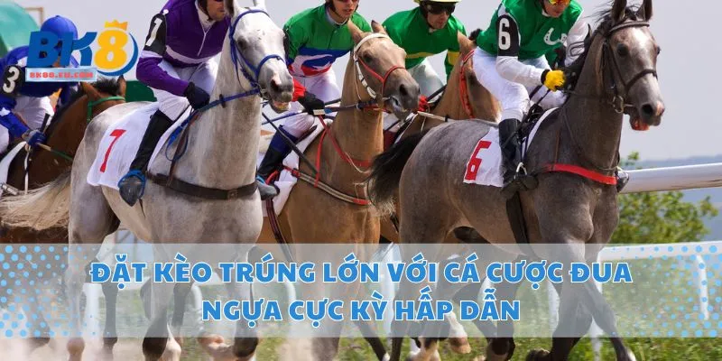 Đặt Kèo Trúng Lớn Với Cá Cược Đua Ngựa Cực Kỳ Hấp Dẫn